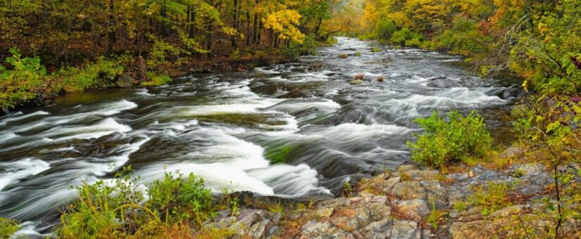 Natural Gems of North America: Exploring the Protected Areas and Scenic Spots in the Dallas Region
